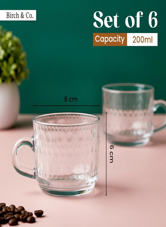 Birch & Co. طقم أكواب شاي من 6 قطع - طقم أكواب شاي، سعة كل كوب 200 مل، تصميم أنيق مضلع للشاي والقهوة والكابتشينو للاستخدام اليومي، مثالي للمنزل والمكتب والمقهى وكهدية، لون بيبل - Image 2