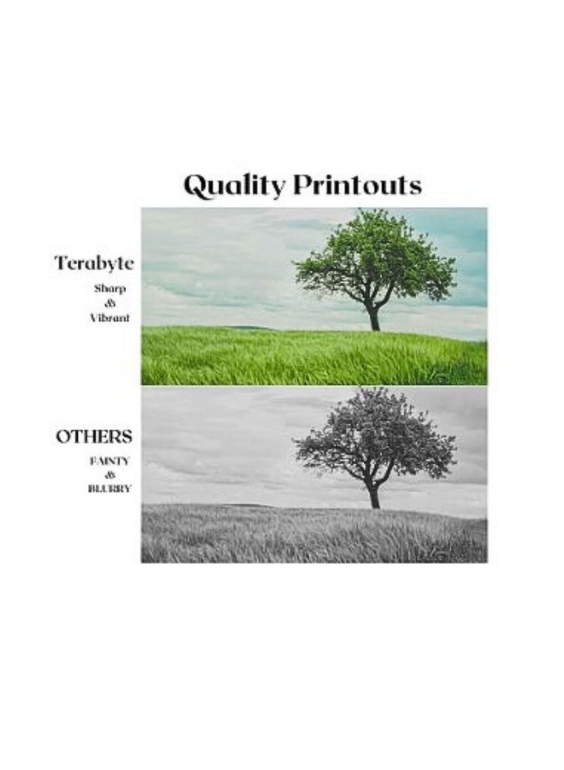 Terabyte DR520 Compatible BROTHER DR520/3100/3115/3150 Black Drum Unit Toner Cartridges Compatible with DCP-8060, DCP-8065DN, HL-5240, HL-5250DN, HL-5250DNT, HL-5280DW,5350/5380 MFC-8460N, MFC-8660DN, MFC-8670DN, MFC-8860DN, MFC-8870DW. - Image 2