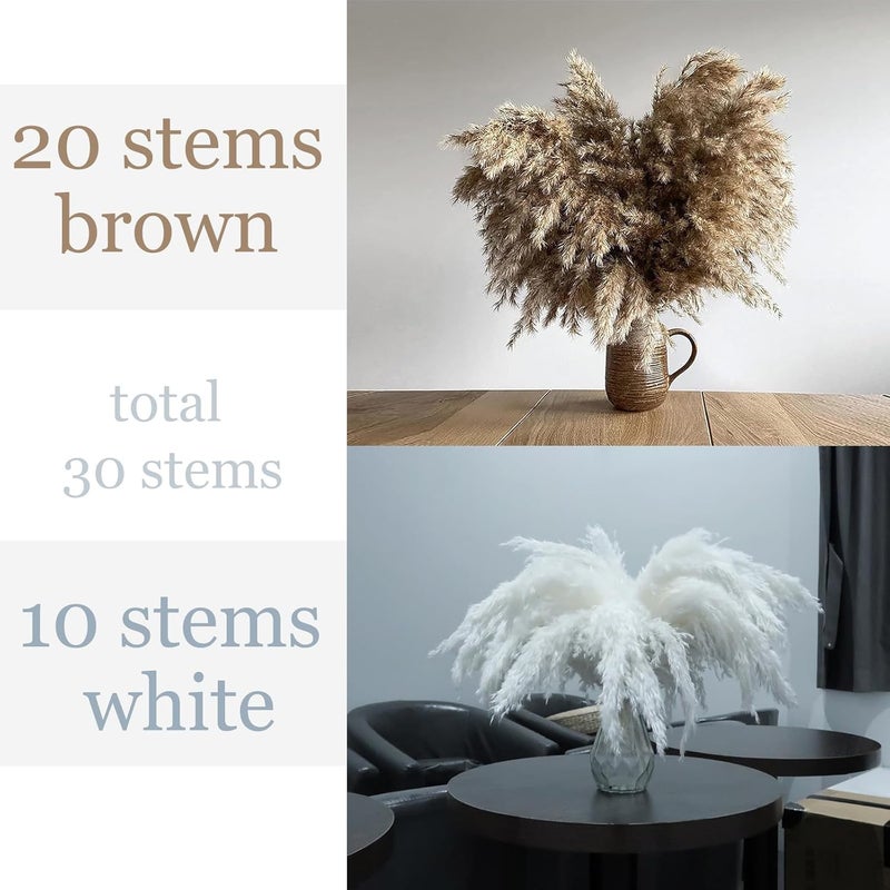 ROOLLYA 30 Stems Fluffy Pampas Grass - Natural Dried Pampas, Brown & White Pompas Grass, Dry Small Pampas Bulk for Living Room Table Decor, Boho Decor,Party Wedding Decor, Gift(17.7 inch, 20 Brown & 10White) - Image 3