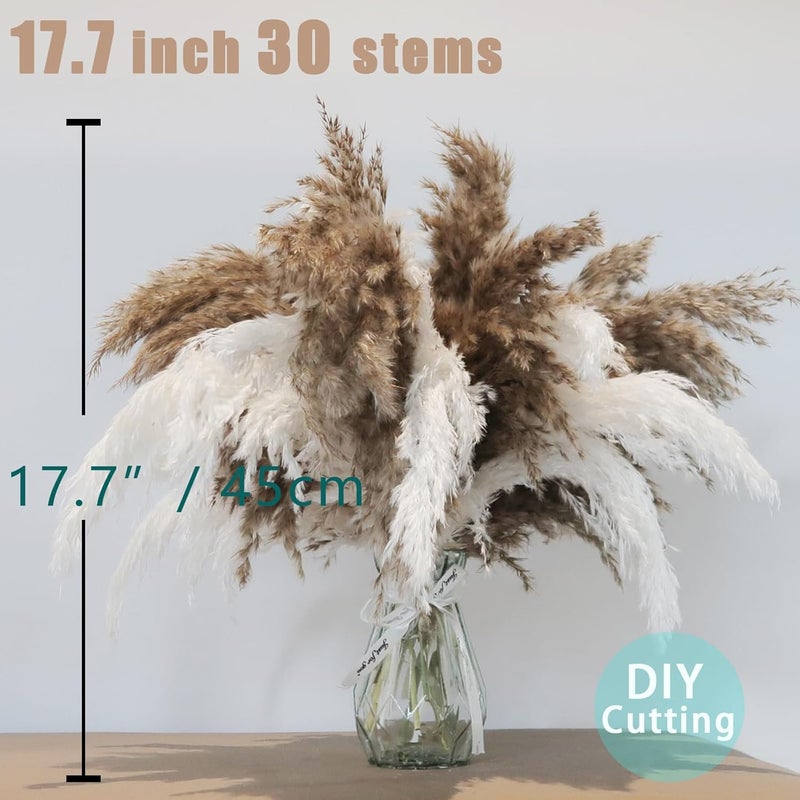 ROOLLYA 30 Stems Fluffy Pampas Grass - Natural Dried Pampas, Brown & White Pompas Grass, Dry Small Pampas Bulk for Living Room Table Decor, Boho Decor,Party Wedding Decor, Gift(17.7 inch, 20 Brown & 10White) - Image 4