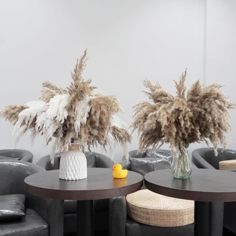 ROOLLYA 30 Stems Fluffy Pampas Grass - Natural Dried Pampas, Brown & White Pompas Grass, Dry Small Pampas Bulk for Living Room Table Decor, Boho Decor,Party Wedding Decor, Gift(17.7 inch, 20 Brown & 10White) - Image 1