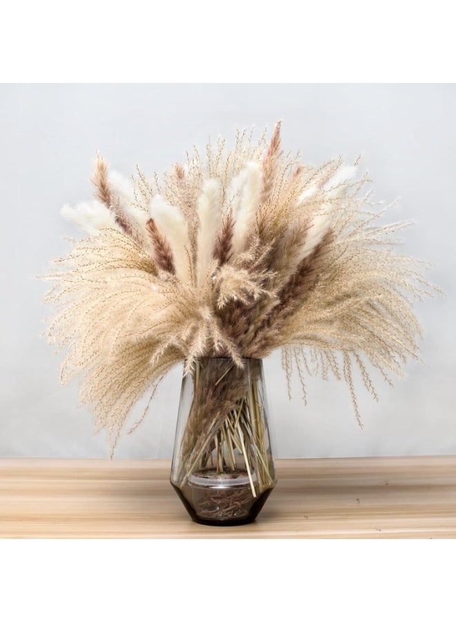 Natural Dried Pampas Grass Bouquet : Brown White Reed Pampas Floral Arrangements Decorations for Home Room Office Party Decor (60PCS) - Image 4