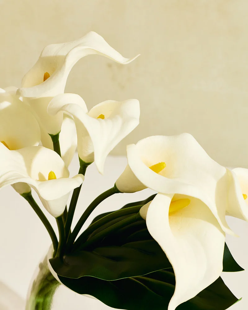 REDTAG White Cala Lily in Glass Clear Vase