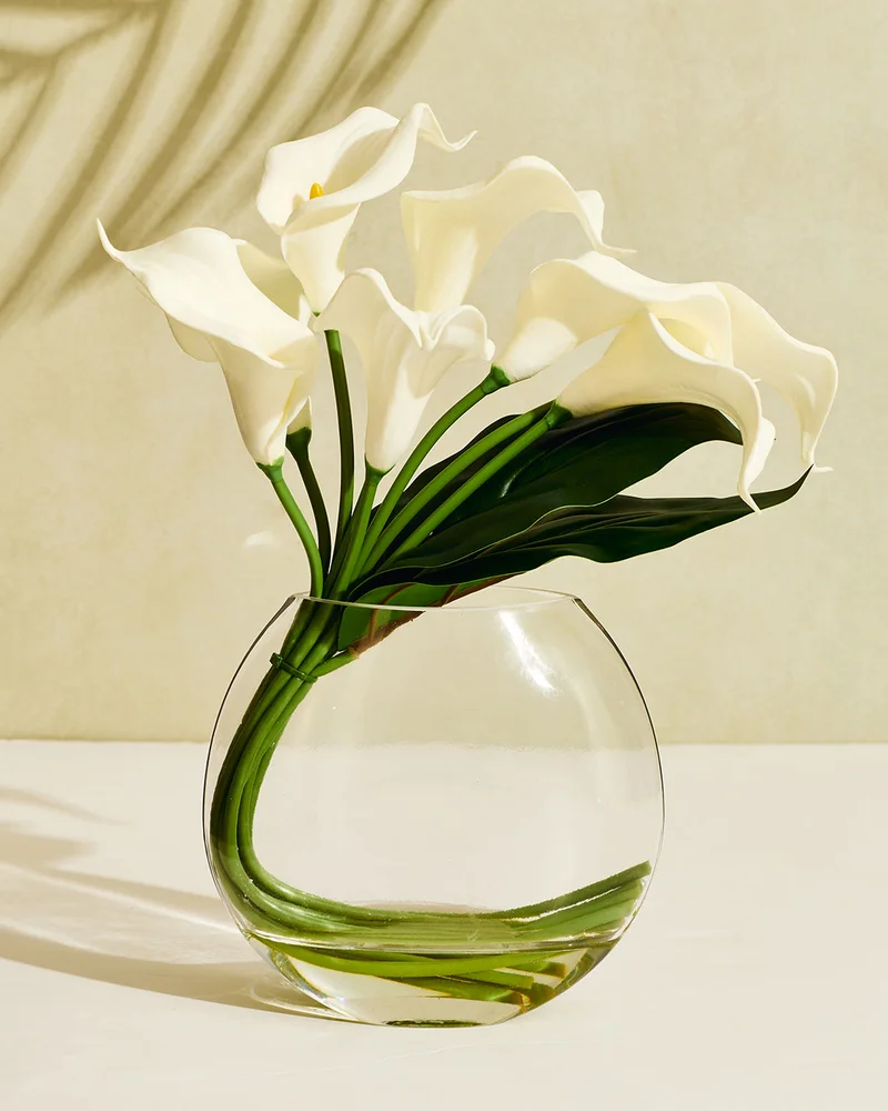 REDTAG White Cala Lily in Glass Clear Vase