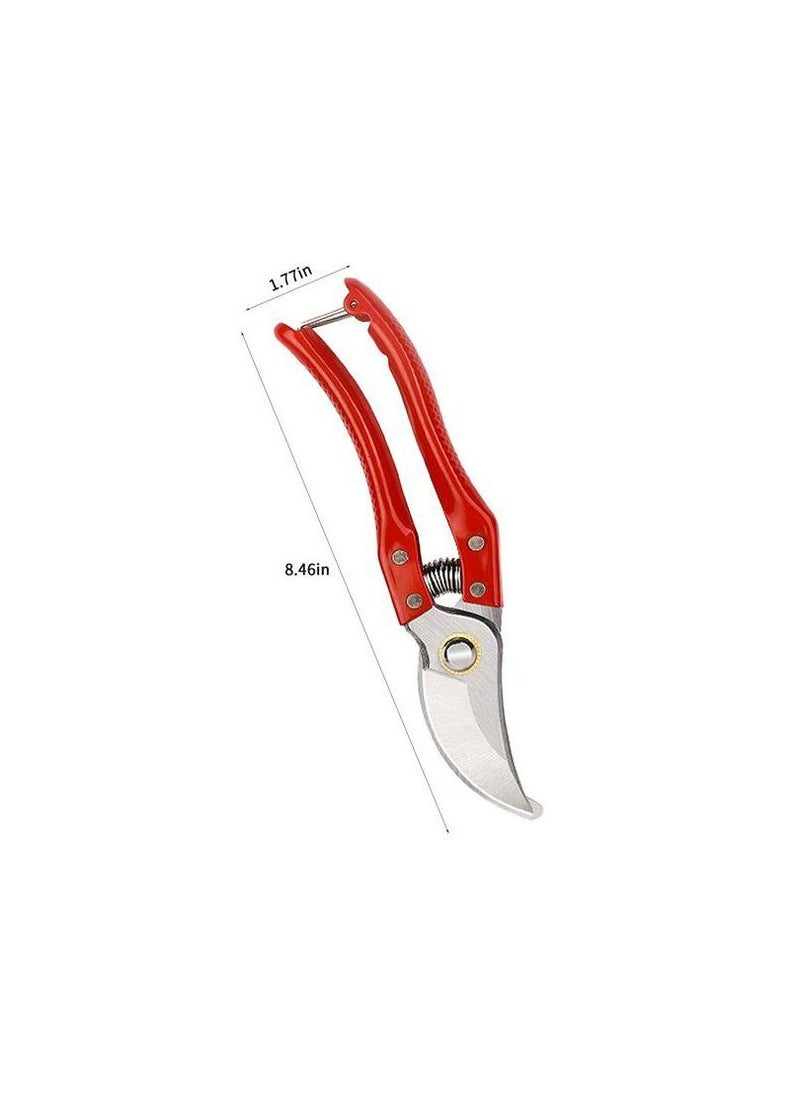 Agricultural scissors - pzsku/Z3D9CEB707890CBDEC69AZ/45/_/1687338209/8fcdd712-e2e8-4f66-be1f-756f7c59ec72