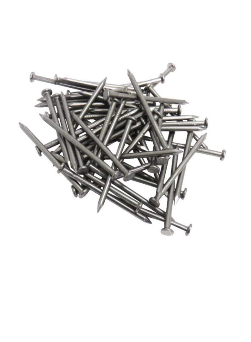 High Strength Round Head Nails For Carpentry Hardware Electrical Etc (25, 2 1/2 inch) - Image 1