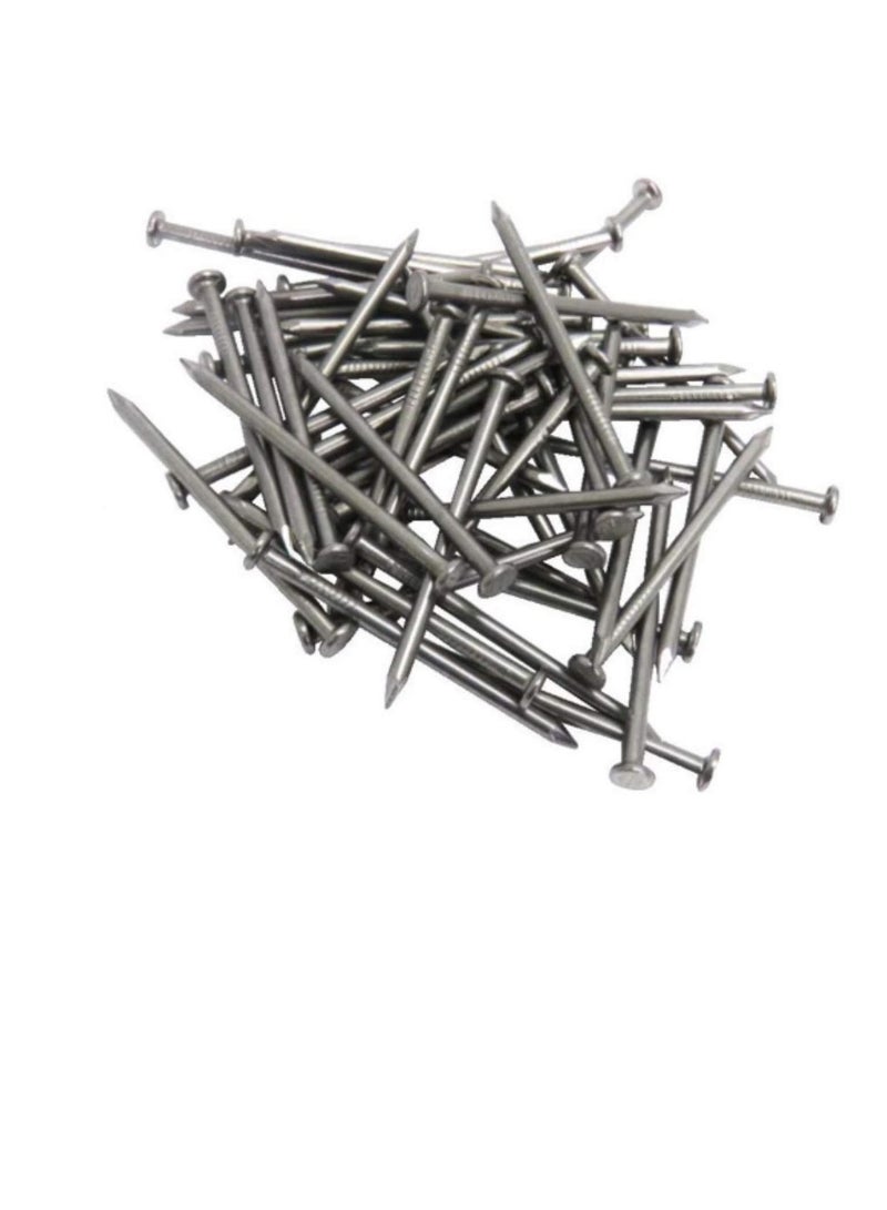 High Strength Round Head Nails For Carpentry Hardware Electrical Etc (25, 2 1/2 inch) - Image 2