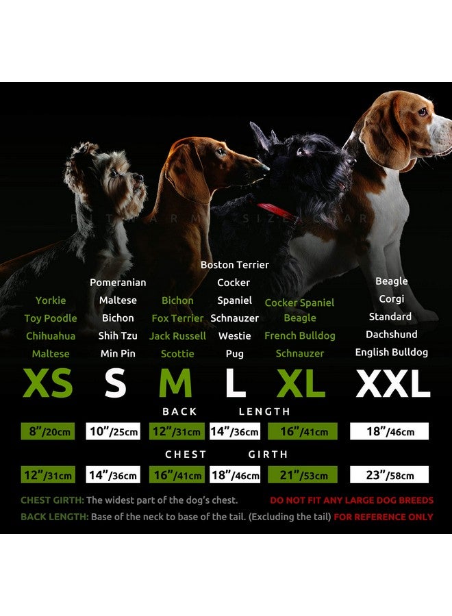 فيت وورم قميص نمر للكلاب من Fitwarm، عبوة من 4 قطع، ملابس صيفية للكلاب الصغيرة، أولاد وبنات، تيشيرت مضحك للكلاب، زي حيوانات أليفة، أصفر، بني، أسود، أخضر، متوسط - Image 5