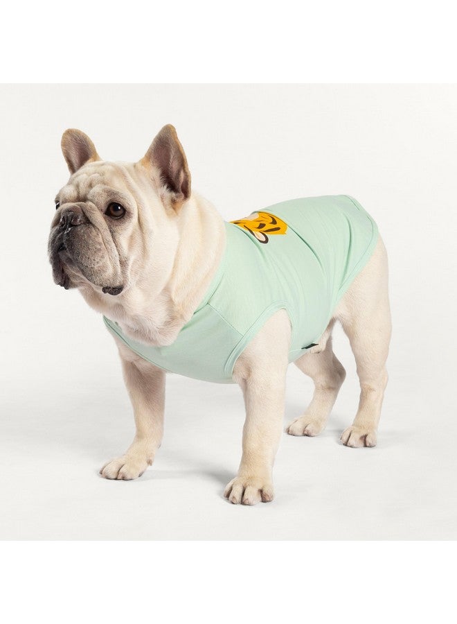 فيت وورم قميص نمر للكلاب من Fitwarm، عبوة من 4 قطع، ملابس صيفية للكلاب الصغيرة، أولاد وبنات، تيشيرت مضحك للكلاب، زي حيوانات أليفة، أصفر، بني، أسود، أخضر، متوسط - Image 2