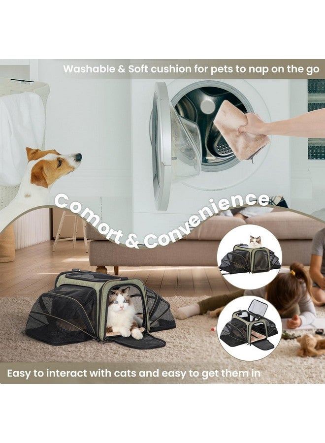 بتس فيت حاملة الحيوانات الأليفة القابلة للتمدد من Petsfit للقطط والكلاب، معتمدة من شركات الطيران، بأبعاد 17 بوصة طول × 11 بوصة عرض × 11 بوصة ارتفاع، حاملة حيوانات أليفة محمولة ناعمة الجوانب للسفر للقطط الصغيرة والجراء، مزودة بسجادة ناعمة قابلة للإزالة وجيوب، وسحابات ذاتية القفل - Image 4