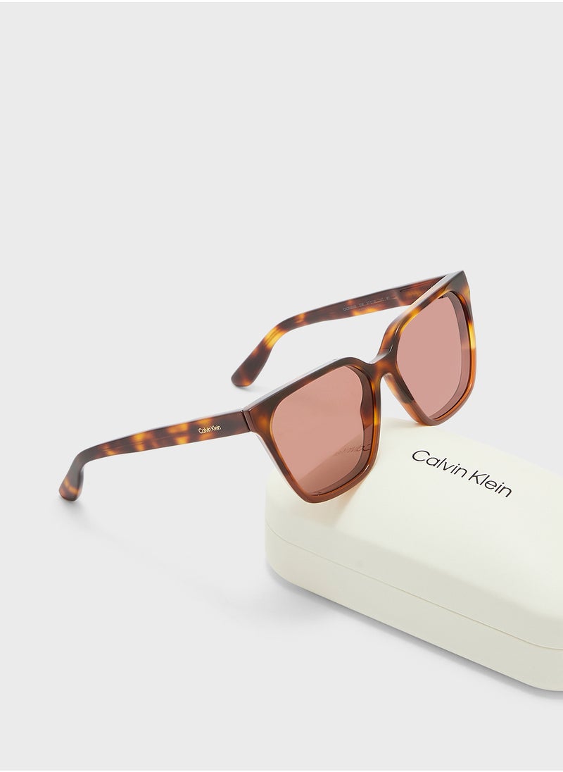 CALVIN KLEIN Modified Rectangle Sunglasses  - Image 5
