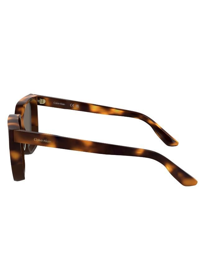 Modified Rectangle Sunglasses