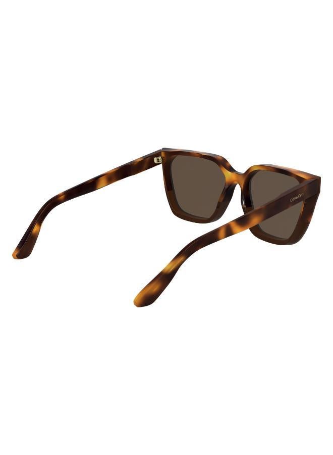 Modified Rectangle Sunglasses