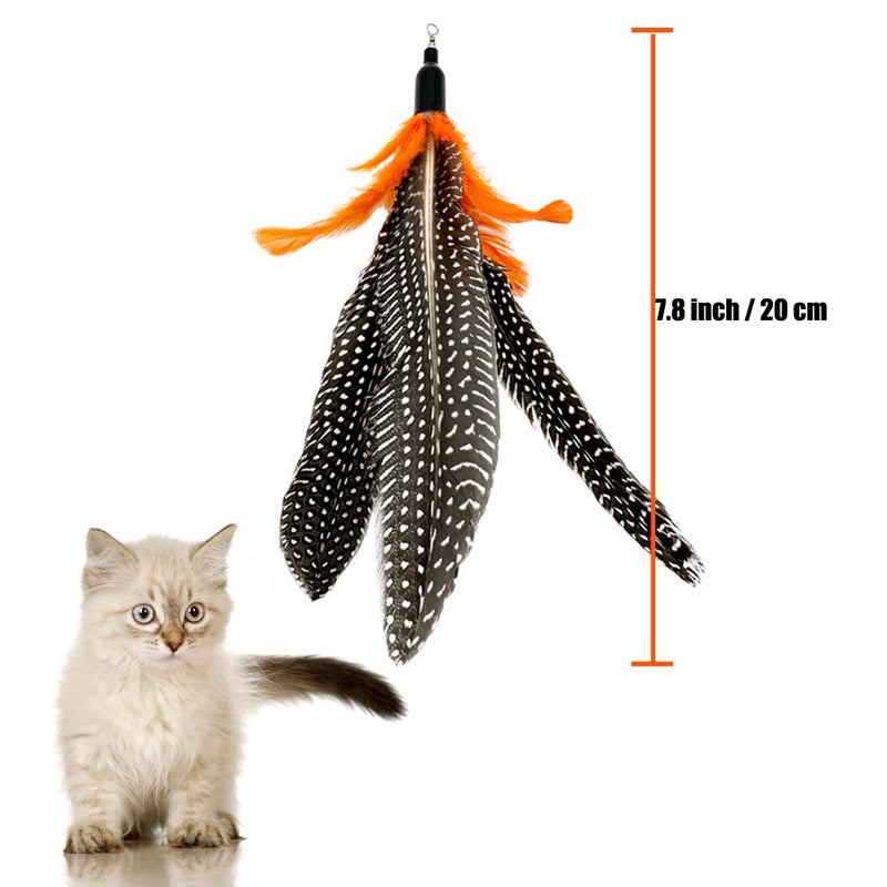 CATENEED Cat Feather Toys Refill, 6 Pieces Cat Wand Replacement Da Bird Feathers, Cat Wand Attachments Feathers Toy for Indoor Cats - Image 3