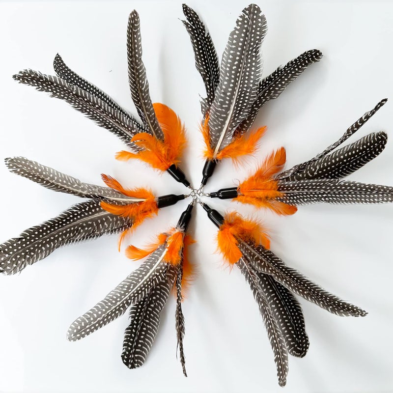 CATENEED Cat Feather Toys Refill, 6 Pieces Cat Wand Replacement Da Bird Feathers, Cat Wand Attachments Feathers Toy for Indoor Cats - Image 5