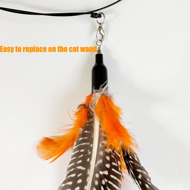 CATENEED Cat Feather Toys Refill, 6 Pieces Cat Wand Replacement Da Bird Feathers, Cat Wand Attachments Feathers Toy for Indoor Cats - Image 4