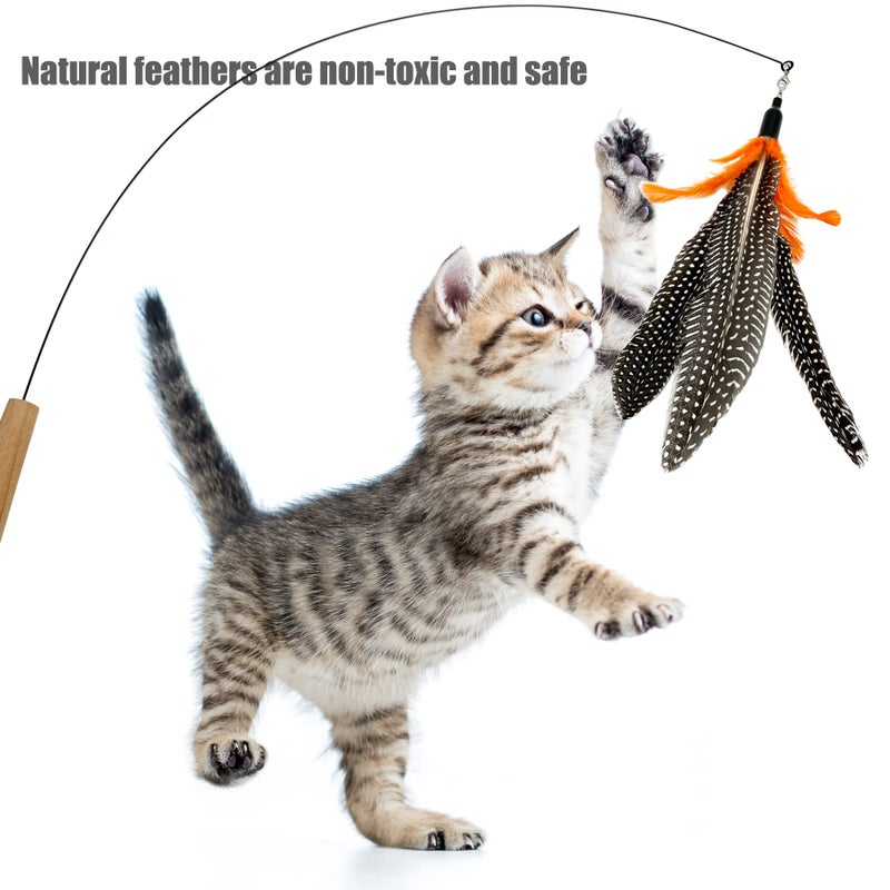 CATENEED Cat Feather Toys Refill, 6 Pieces Cat Wand Replacement Da Bird Feathers, Cat Wand Attachments Feathers Toy for Indoor Cats - Image 2