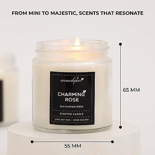 Aromahpure Scented Candles (55 Hours) (100% Soy Wax)- Handcrafted | Smoke-Free | Charming Rose- Bulgarian Rose, Joyful Lavender- Lavender Fragrance Candles for Home & Gift Sets, IFRA Certified - Image 2