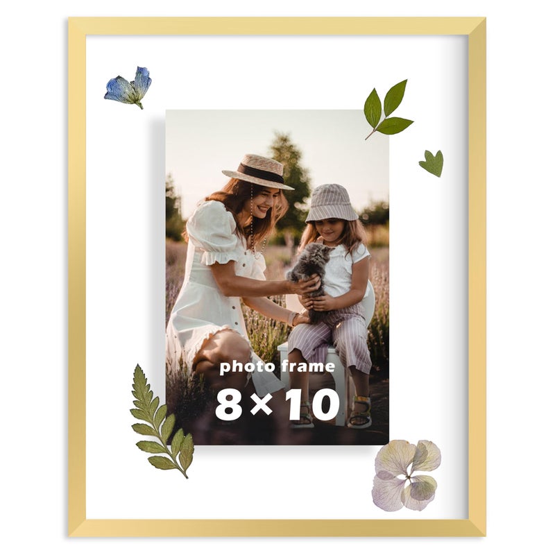 FrameWorks 8x10 Deluxe Brass Gold Aluminum Contemporary Style Floating Picture Frame with Tempered Glass