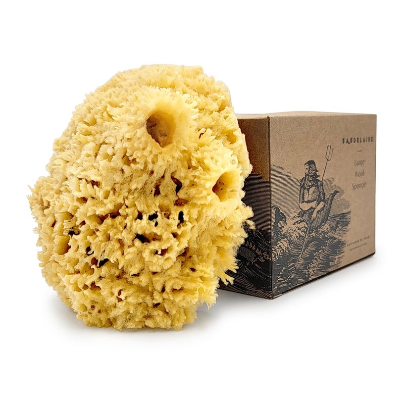 Baudelaire Sea Wool Sponge by Baudelaire 5.5" - Natural Sea Sponges for Bathing - Bath Sea Sponge for Shower - Natural Sea Sponge Loofah | Durable | Sustainable & Environment-Friendly Natural Sponges for Body - Image 5
