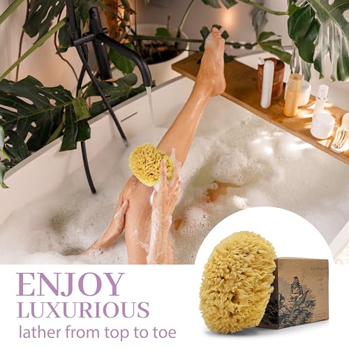 Baudelaire Sea Wool Sponge by Baudelaire 5.5" - Natural Sea Sponges for Bathing - Bath Sea Sponge for Shower - Natural Sea Sponge Loofah | Durable | Sustainable & Environment-Friendly Natural Sponges for Body - Image 3