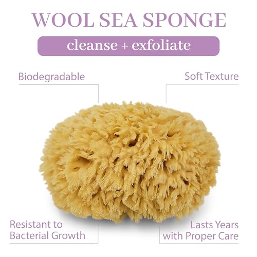 Baudelaire Sea Wool Sponge by Baudelaire 5.5" - Natural Sea Sponges for Bathing - Bath Sea Sponge for Shower - Natural Sea Sponge Loofah | Durable | Sustainable & Environment-Friendly Natural Sponges for Body - Image 2