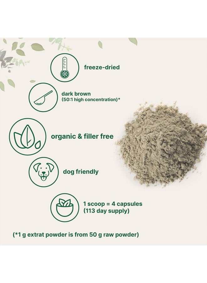 Micro Ingredients Organic Turkey Tail Mushroom Powder (50:1 Extract), 8 Ounce | Freeze Dried with Active Polysaccharides, Supports Immune Response & Cellular Level, Pet Friendly - Image 3