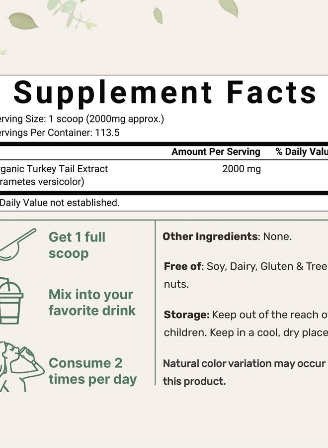 Micro Ingredients Organic Turkey Tail Mushroom Powder (50:1 Extract), 8 Ounce | Freeze Dried with Active Polysaccharides, Supports Immune Response & Cellular Level, Pet Friendly - Image 2
