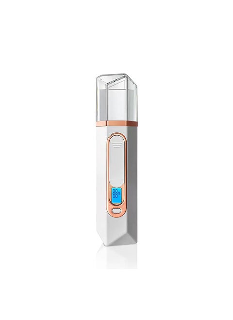 Nano Facial Mister Mist Sprayer Spray Portable Mini Steamer with Skin Analyzer Moisture Tester Visual Water Tank Usb Rechargeable for Face Moisturizing