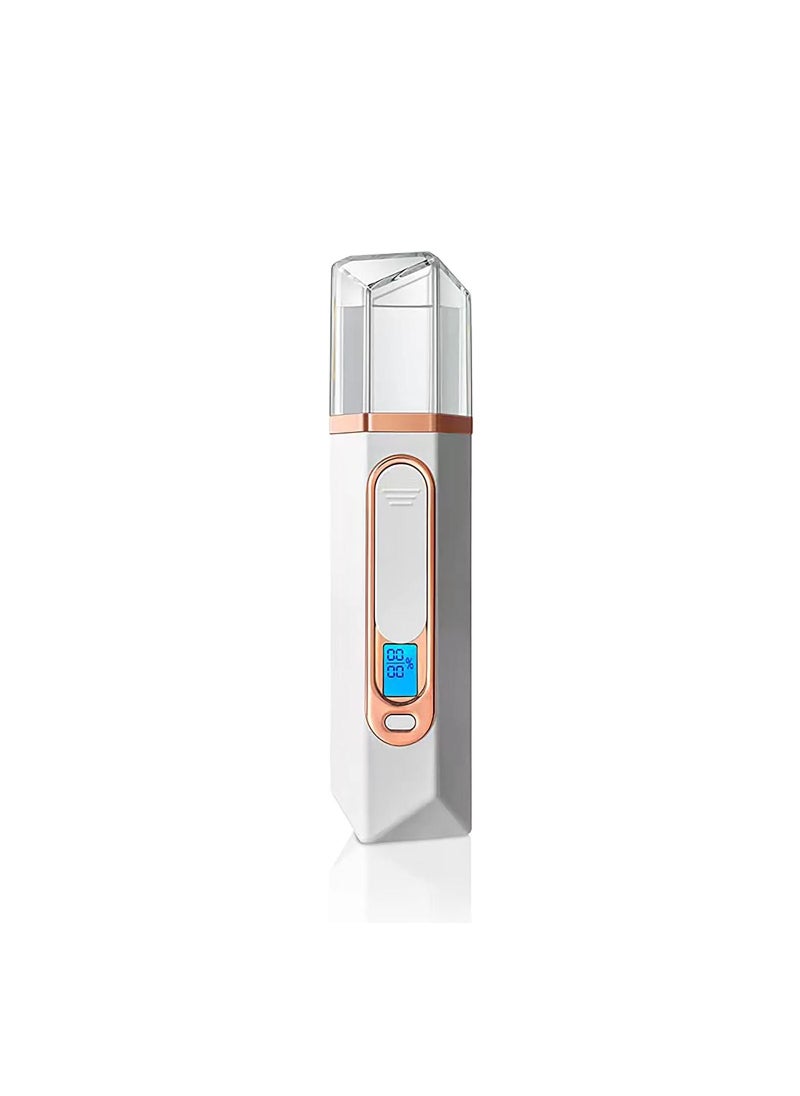 Nano Facial Mister Mist Sprayer Spray Portable Mini Steamer with Skin Analyzer Moisture Tester Visual Water Tank Usb Rechargeable for Face Moisturizing