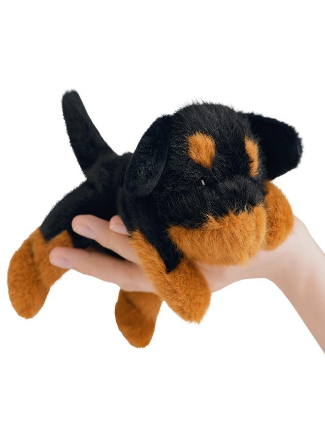 PEACH CAT دببة قطة الخوخ روت وايلر دمى كلب لطيفة دمى صغيرة من الكلاب وسادة هدايا للأطفال سوداء - Image 1