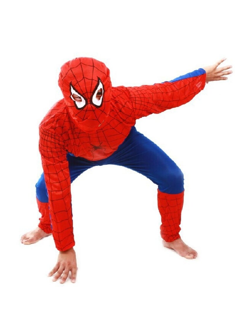 D'Daniela Spiderman without Muscle - Image 2