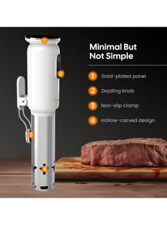 INKBIRD INKBIRD WiFi Sous Vide Machine ISV-101W 1000 Watts Sous Vide Cooker 3D Water Circulation Heating with App Preset Menus Cooking Booking Function Cooking...  - Image 3