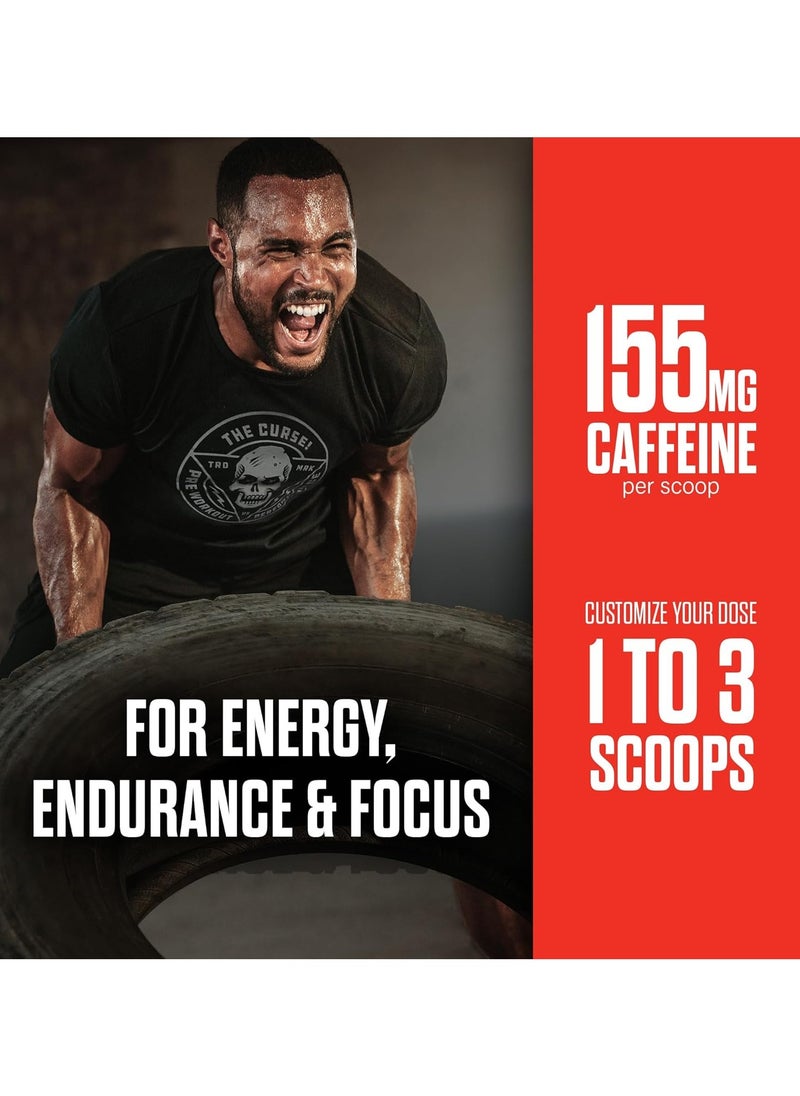 The Curse Pre Workout  Watermelon 250 G