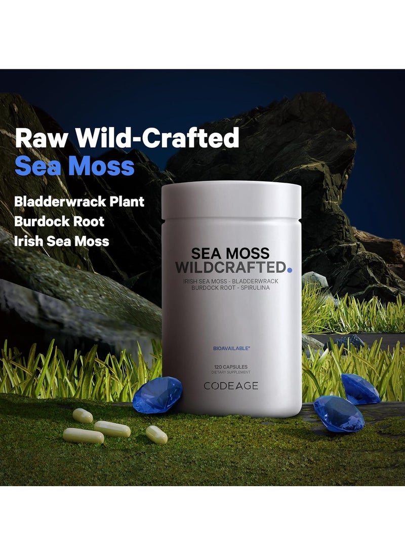 Codeage - Sea Moss Wildcrafted - Irish Sea Moss - Bladderwrack - Burdock Root - Spirulina,Vegan, Non-GMO, 120 Capsules - Image 1