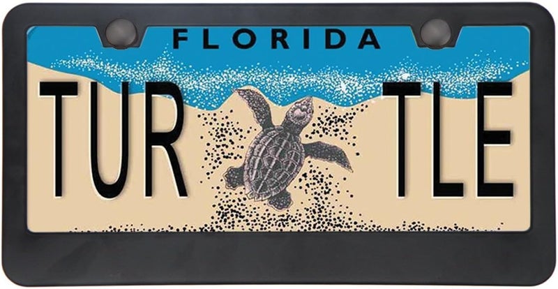 BIGANT Big Ant Car License Plate Frame - Matte Stainless Steel License Plate Covers with Free Screws Fasteners + Black Screw Caps - Image 5