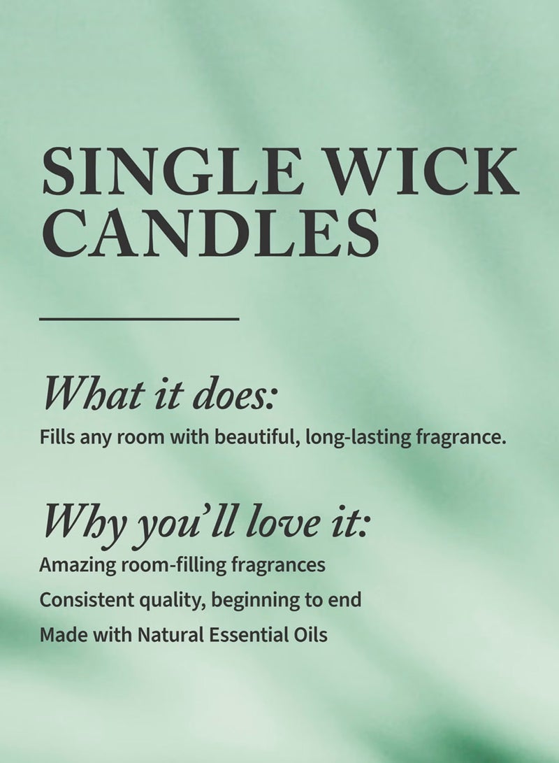 Bath & Body Works شمعة واحدة في الليل - Image 2