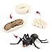 Hvogvok Ant Growth Cycle Animal Growth Cycle Biological Model Toy Growth Stage Lifelike Ant Life Cycle Model Toy Set for Kids Education Insect Themed Party Favors - Image 4