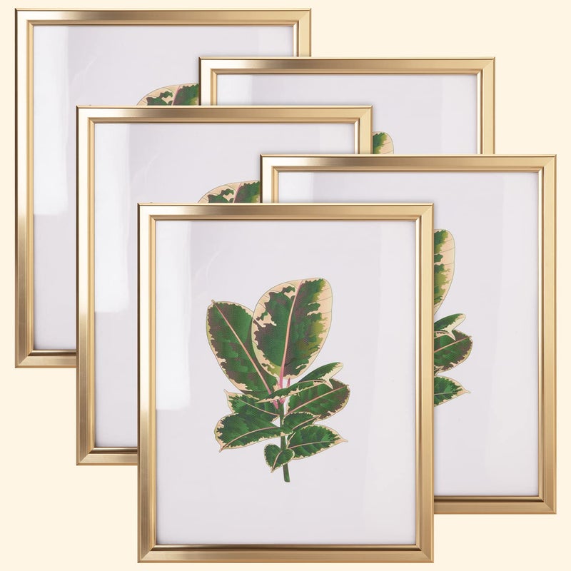 euwazram 8x10 Picture Frame  Set of 5 Matte Gold 8 x 10 Photo Frame with HighDefinition Glass Modern 8x10 frame for Tabletop or Collage Wall Perfect Christmas Frame