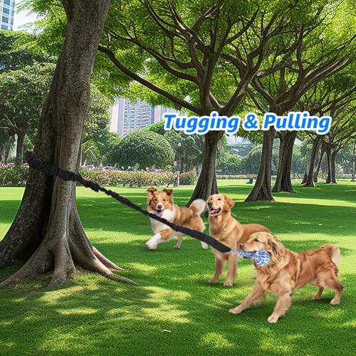 LOOBANI Spring Pole Dog Rope Toys - Tug of War Dog Toy for Pitbull Medium to Large Dogs, Indoor Outdoor Use Bungee Hanging Exercise Ropes Muscle Builder Interactive Toys (Door Hanging Style) - Image 5