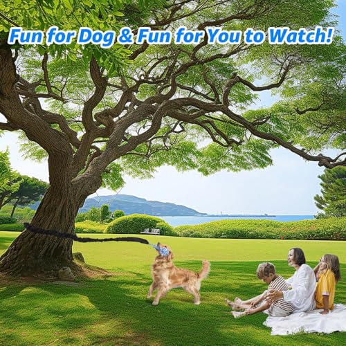 LOOBANI Spring Pole Dog Rope Toys - Tug of War Dog Toy for Pitbull Medium to Large Dogs, Indoor Outdoor Use Bungee Hanging Exercise Ropes Muscle Builder Interactive Toys (Door Hanging Style) - Image 4