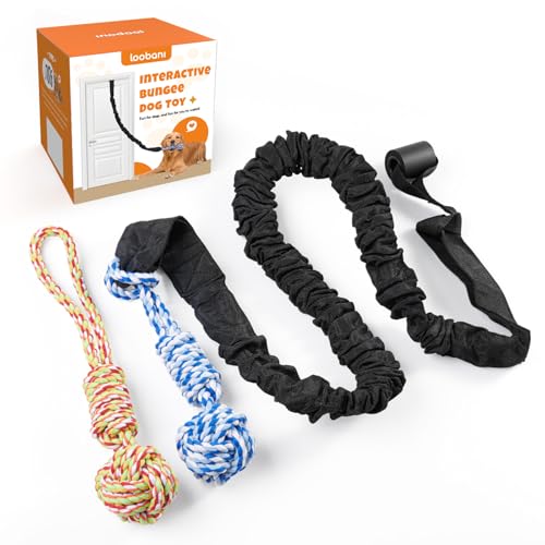 LOOBANI Spring Pole Dog Rope Toys - Tug of War Dog Toy for Pitbull Medium to Large Dogs, Indoor Outdoor Use Bungee Hanging Exercise Ropes Muscle Builder Interactive Toys (Door Hanging Style) - Image 1