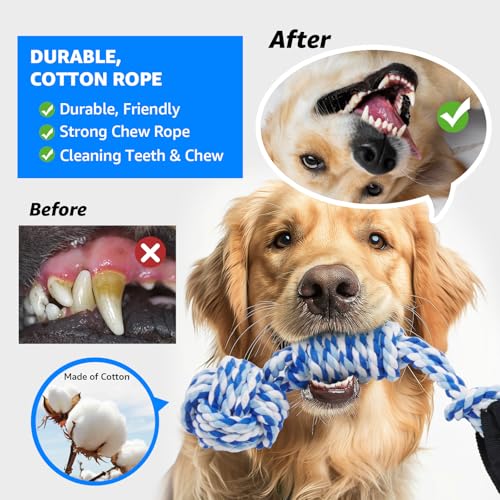 LOOBANI Spring Pole Dog Rope Toys - Tug of War Dog Toy for Pitbull Medium to Large Dogs, Indoor Outdoor Use Bungee Hanging Exercise Ropes Muscle Builder Interactive Toys (Door Hanging Style) - Image 3