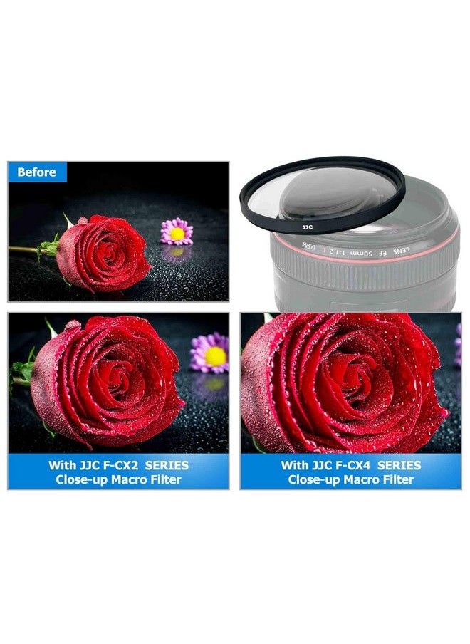 JJC - 58Mm Macro Closeup Filter Set (+2 +4 +8 +10) Macro Filter Accessory With Lens Filter Pouch For Canon Rebel T8I T7I T6I T7 T6Eos 90D 80D 77D With Canon Efs 1855Mm F 3.55.6 Is Stm Lens - Image 1