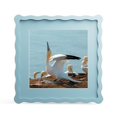 THKRLOF 10x10 Picture Frame with Mat for 8x8, Wavy Edge Wooden Real Glass Photo Frame for Tabletop and Wall Hanging, Blue, 1 Pack - Image 1