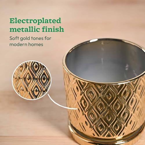 UGAOO Peacock Ceramic Pot - 5 Inch | Indoor Ceramic Plant Pot | Flower Pot for Living Room | Small planters for Indoor Plants (Gold) - Image 3