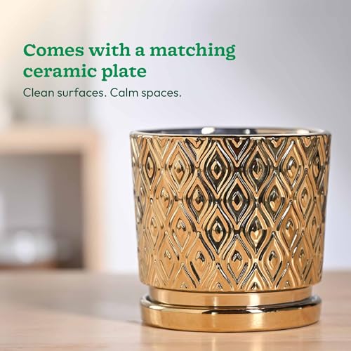 UGAOO Peacock Ceramic Pot - 5 Inch | Indoor Ceramic Plant Pot | Flower Pot for Living Room | Small planters for Indoor Plants (Gold) - Image 5