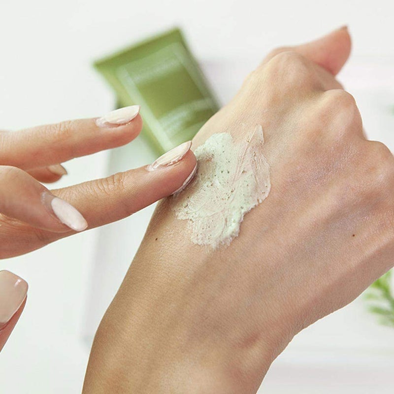 BONAJOUR [BONAJOUR] Organic Mugwort & Green Tea Calming Gentle Clay Mask - Nourishing & Deep Moisturizing & Soothing 1.9 Fl. Oz - Image 3
