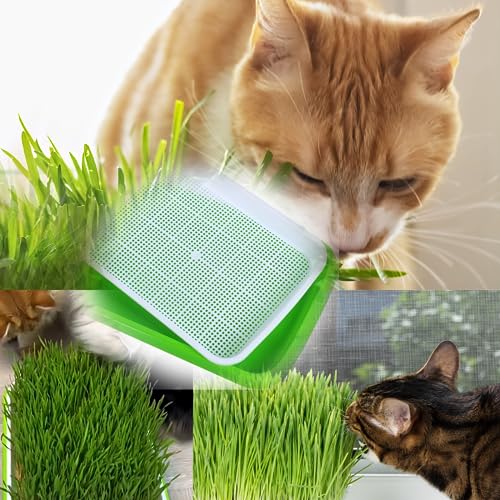 Homend Seed Sprouter Tray, 5 Pack Seed Germination Tray Bpa Free Nursery Tray For Seedling Planting Great For For Garden Home Office (Green,White) - Image 2