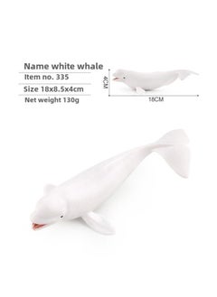 Simulation Whale Shark Tiger Shark Marine Biological Model Deep Sea Prehistoric Ancient Deng's Fish Trilobite Animal Model-Color:PL127-335 White Whale 130g